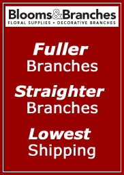 fuller branches